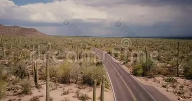 在美国亚利桑那州国家公园沙漠中的大仙人掌田中央美丽蜿蜒的沙漠公路上飞行的无人机